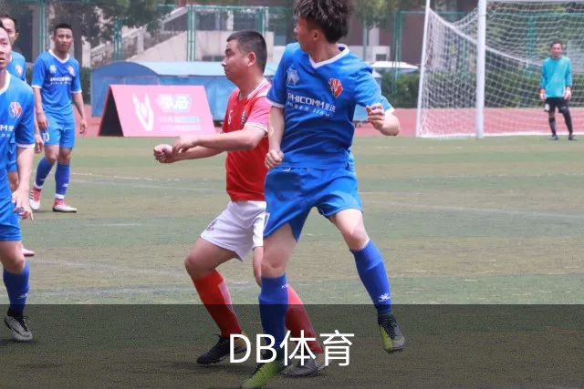 DB体育公司介绍